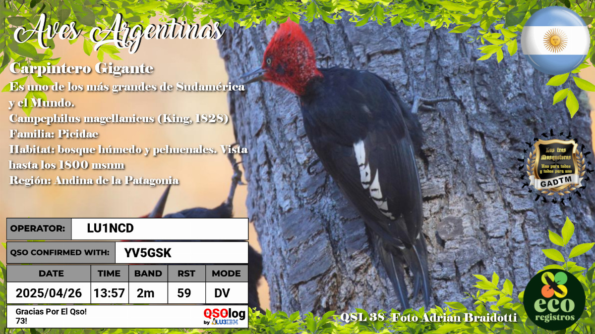 QSL generada con QSOlog.ar