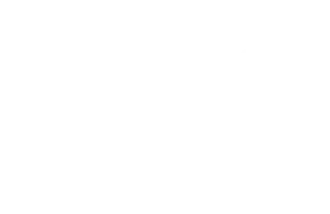 fiba